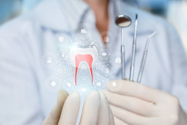 Best Dental Exams and Cleanings  in South Hempstead, NY